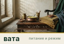 Вата: питание и режим дня. Что подходит, а что нет
